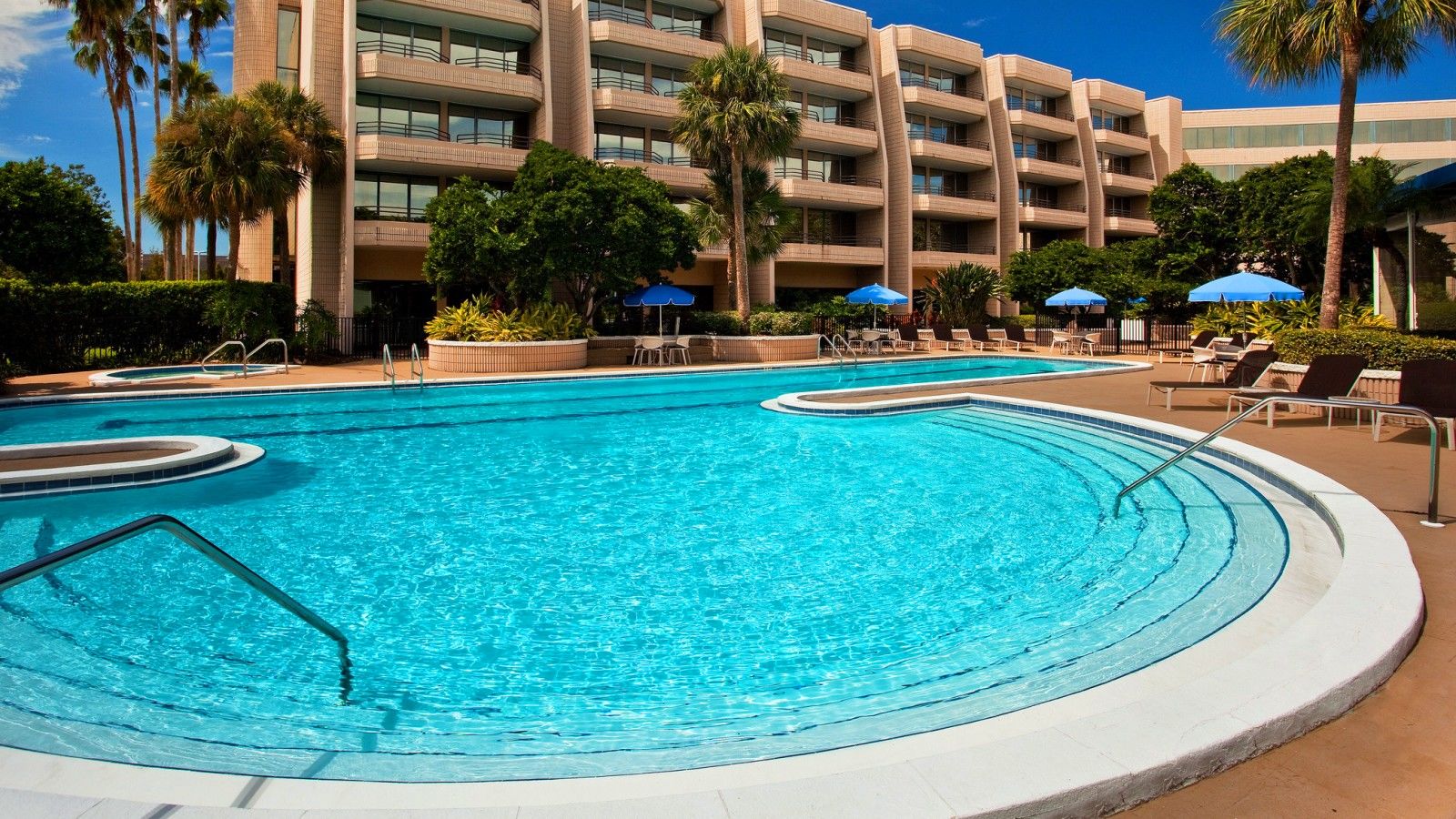 Sheraton Tampa Brandon Hotel Mango Зручності фото